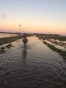 WhatsApp Image 2017-04-11 at 05.53.54