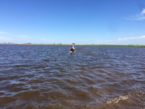 WhatsApp Image 2017-04-11 at 05.53.55 (1)