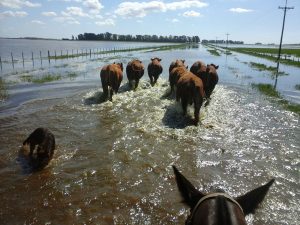 WhatsApp Image 2017-04-11 at 05.53.55