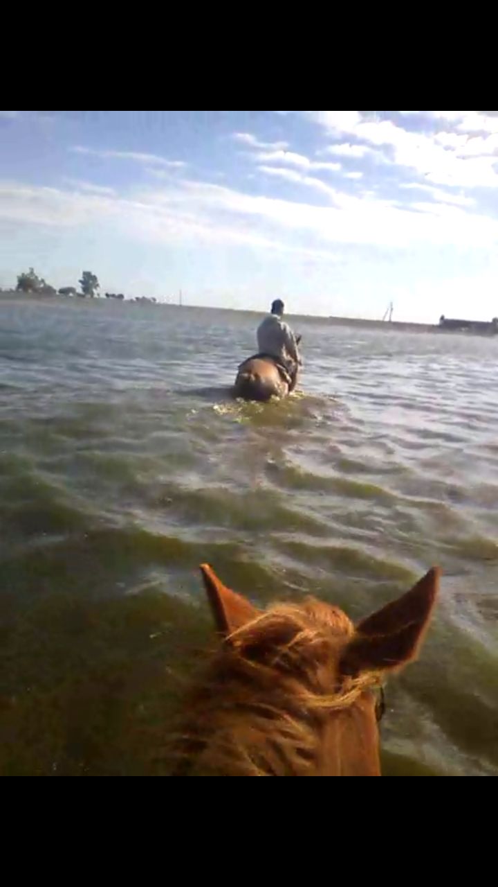 Se complica el traslado de animales en el sur de Córdoba por las inundaciones 1 WhatsApp Image 2017-04-18 at 12.11.05