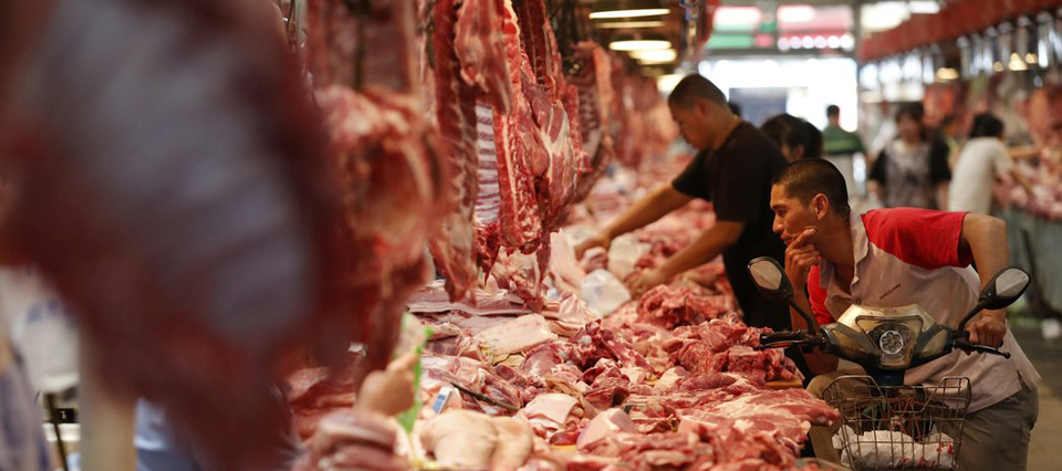 Resultado de imagen para mercado carne animal china