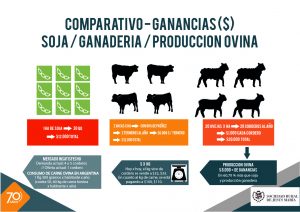 infografia-ovejas srjm