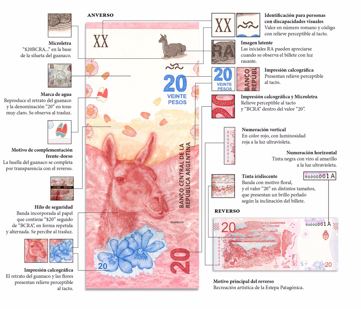 billete de 20 guanaco