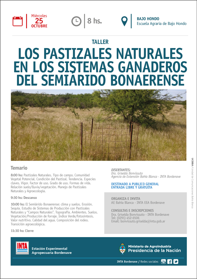 Realizarán un taller de pastizales naturales en el semiárido bonaerense 1 pastizales talle inta