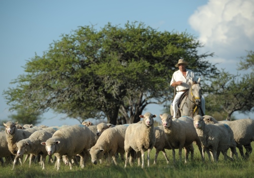 El cordero mesopotámico llega a la cocina gourmet en forma de hamburguesa 3 ????????????????????????????????????