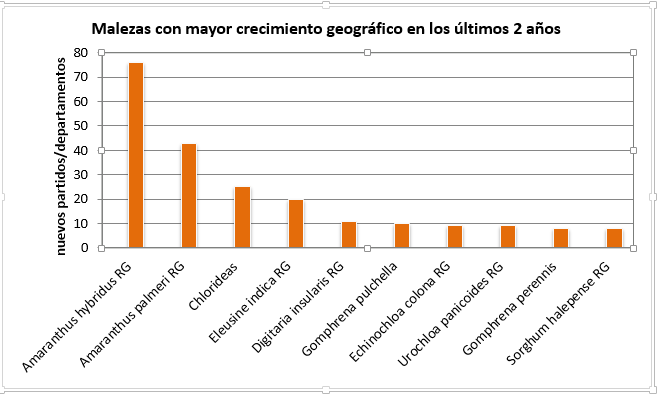 grafico-1 (1)