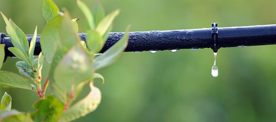 Cómo hacer un sistema de riego por goteo ecológico con una botella