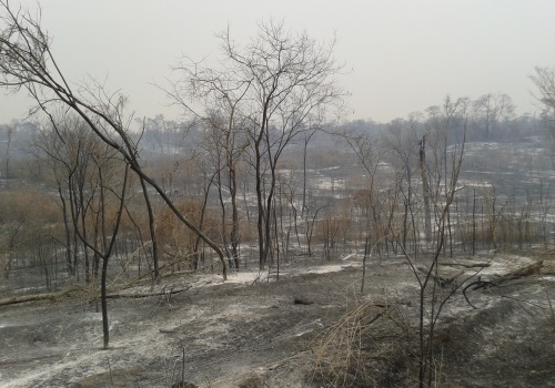 jujuy incendio 3 2