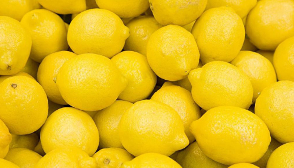 La imagen tiene un atributo ALT vacío; su nombre de archivo es limones-argentinos.jpg
