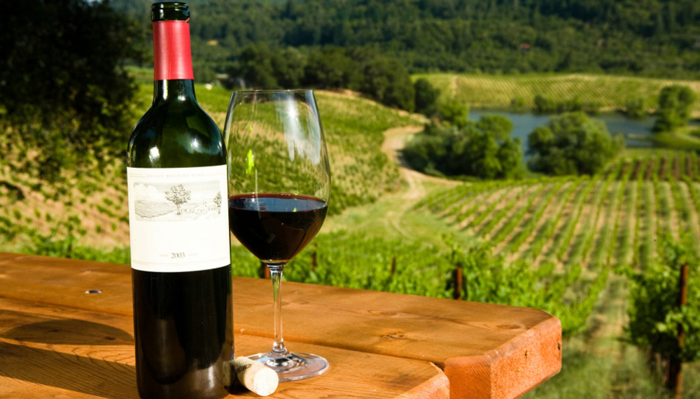 pereza Catastrófico estimular Un vino argentino fue elegido en Francia como “el mejor tinto del mundo”