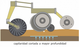 capilaridad
