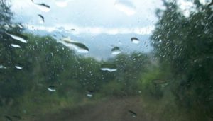 Tiempo de lluvias - Campo