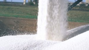 urea granulada infocampo