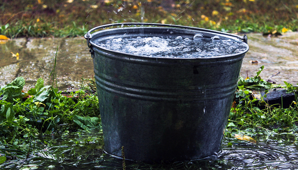 reciclado lluvia portada