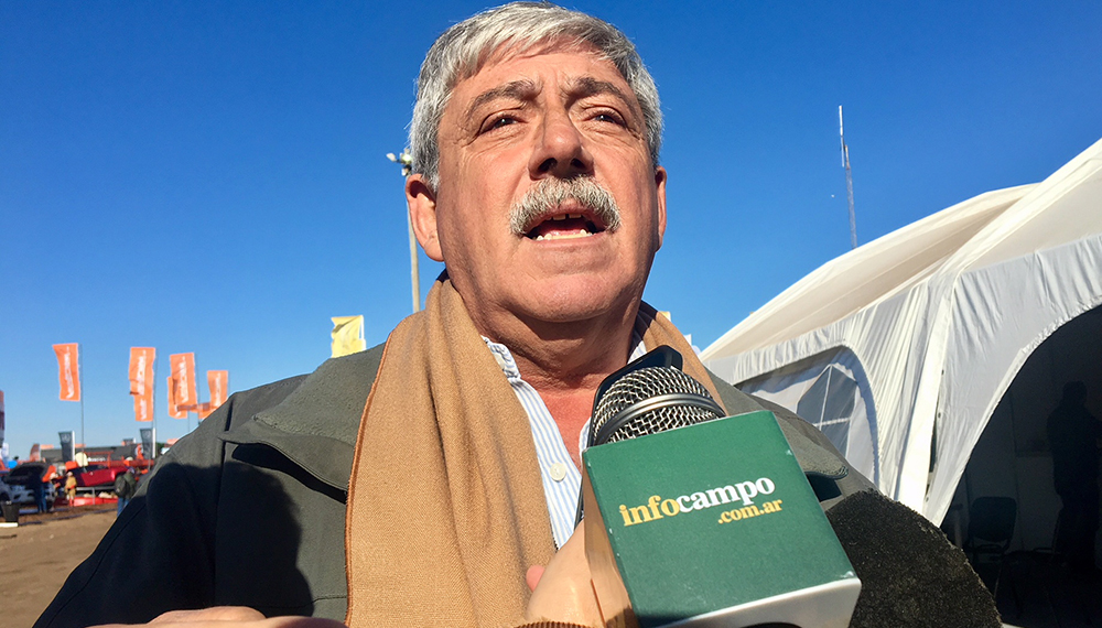 eduardo buzzi infocampo