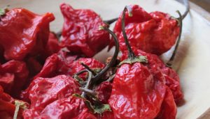 pimientos chiles aji