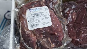 carne exportaciones infocampo