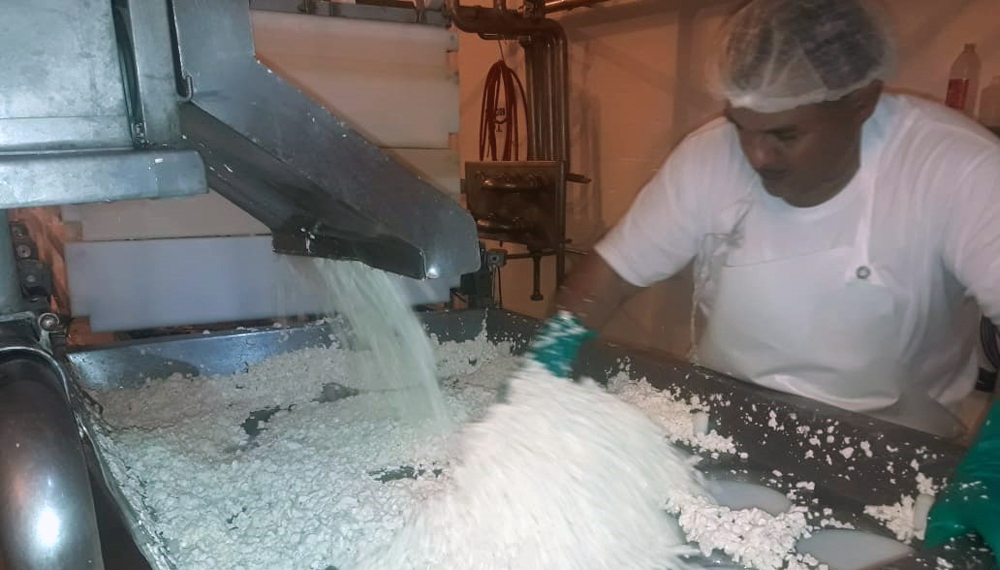 Tras su reapertura, la fábrica de quesos Charlone ya inició la producción con 22 trabajadores 2 charlone
