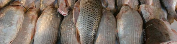 El sábalo, uno de los productos que deja de pagar retenciones.