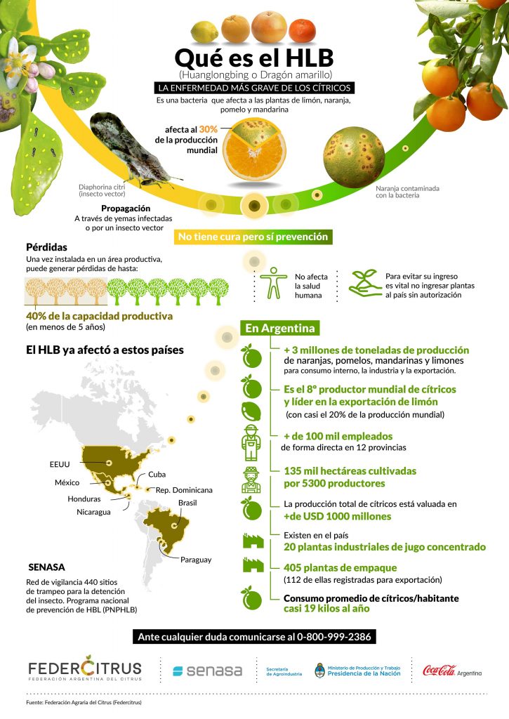Inforgrafia sobre HBL citricos