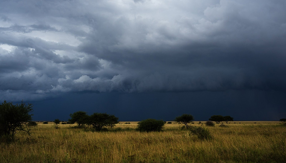 Tormenta en el campo