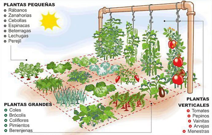 La huerta de un metro cuadrado