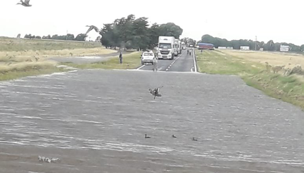 Cortaron un tramo de la Ruta 3 por las lluvias: las imágenes 2 ruta inundaciones1