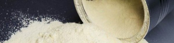 leche en polvo exporatacion infocampo