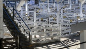 Mercado de liniers vacio