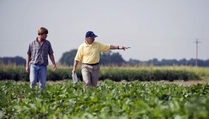 productores campo