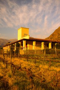 Foto Cafayate 2 7724