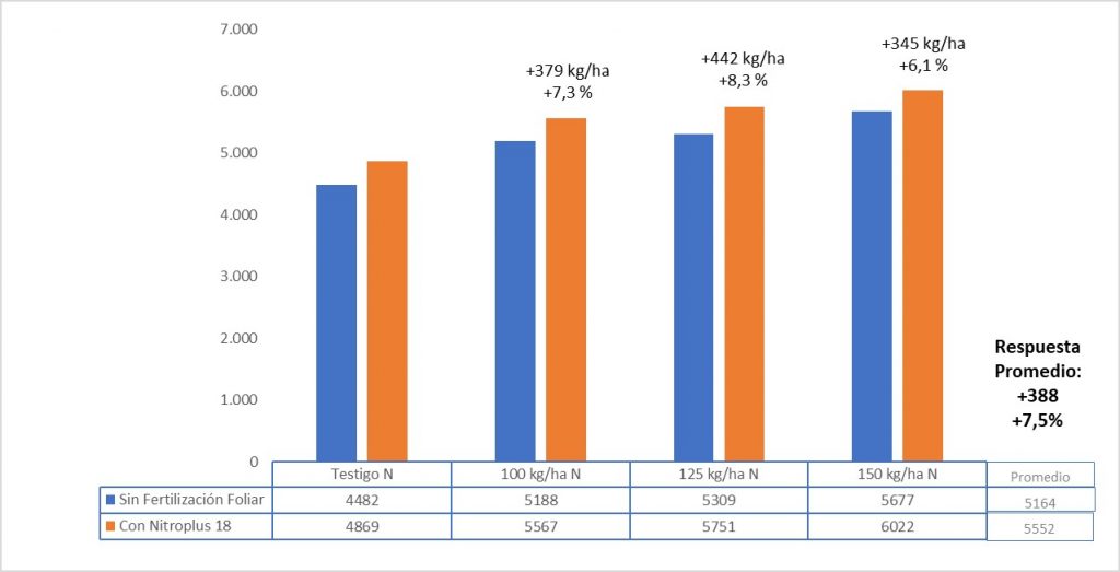 informe 1
