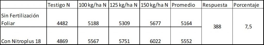 informe 2