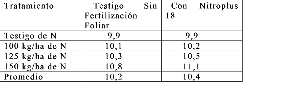 informe 4