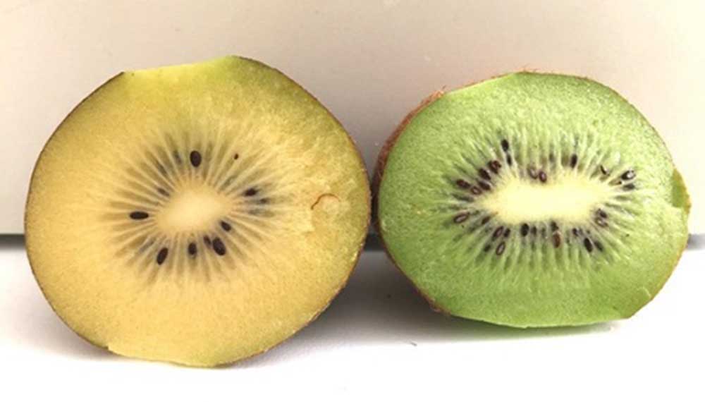 kiwi verde amarillo