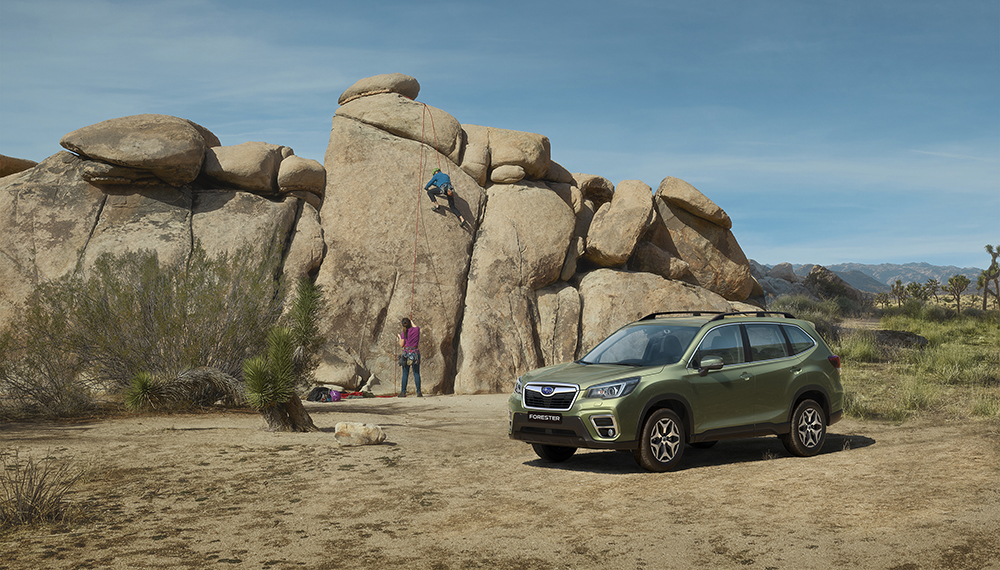 19FORESTER.E3.0030BP