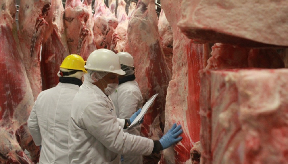 El 75% de la carne vacuna argentina se exportó a China | Infocampo