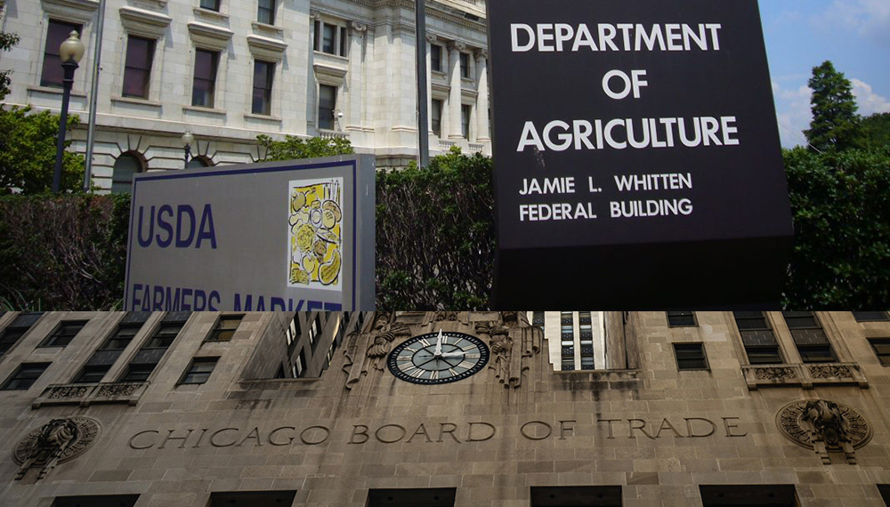 usda chicago infocampo