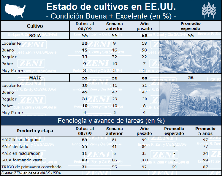 Estado de los cultivos USA Zeni Semana 09 09