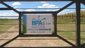 Cordoba buenas practicas