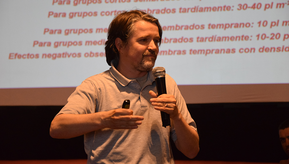 Lucas Borrás