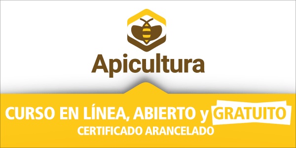 apicultura curso