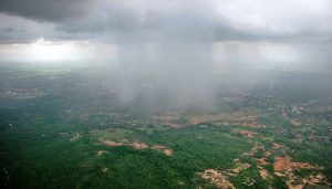 lluvias campo infocampo pronóstico