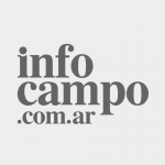 Infocampo 