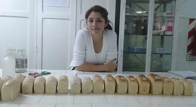 ensayos calidad año 2013 e1573561700642