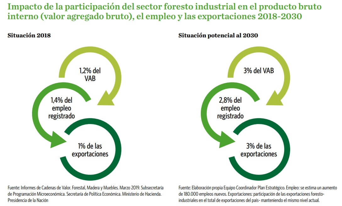 Cuáles son las expectativas para 2030 del sector forestal nacional