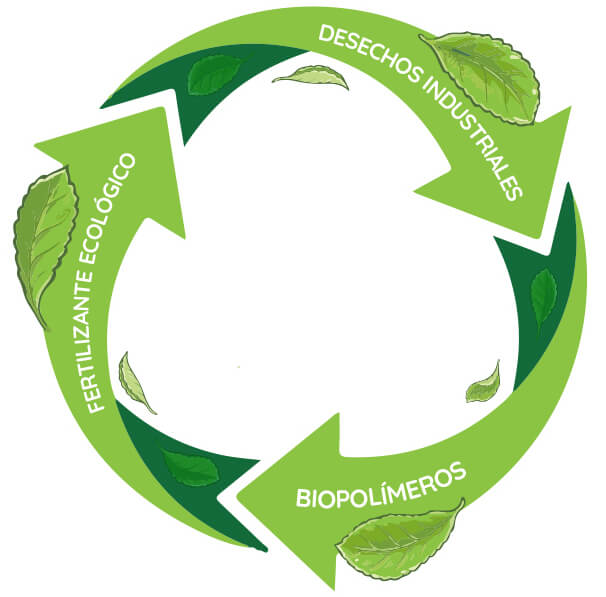 recicla