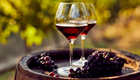 vinoteca vinos infocampo