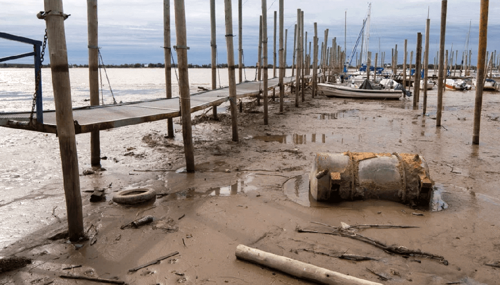 La bajante del río Paraná llegó a valores récord y podría empeorar |  Infocampo