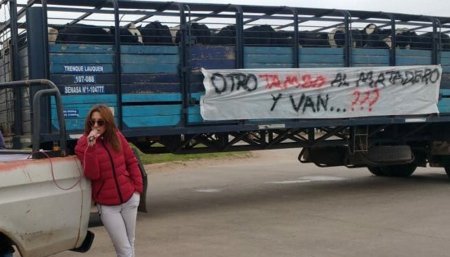 Lecheria Inmobiliario Rural Carbap